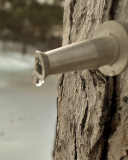 Maple Syrup Taps 5/16 in Stainless Steel, 10 Pack | Maple Tree Sap Spiles Spouts for Tapping | Made in USA